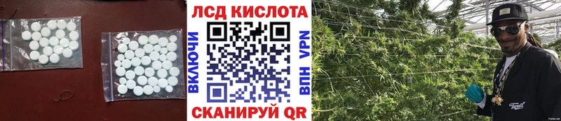 LSD-25 экстази ecstasy  Купить  Карасук 
