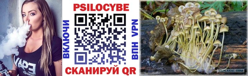 Галлюциногенные грибы прущие грибы Купить закладки Карасук
